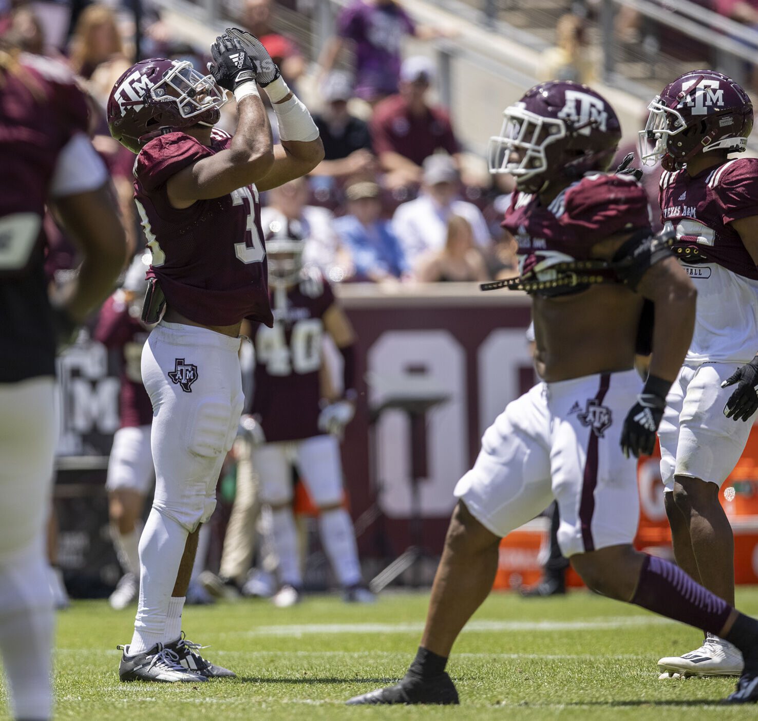 Maroon & White